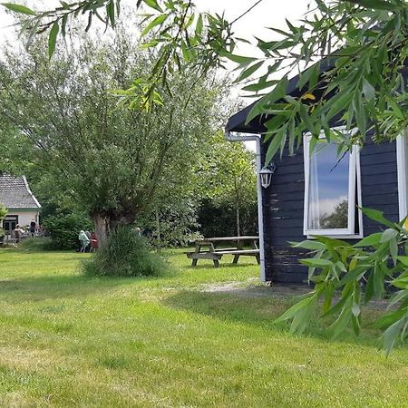 Chalet Egmond Egmond aan den Hoef Zewnętrze zdjęcie