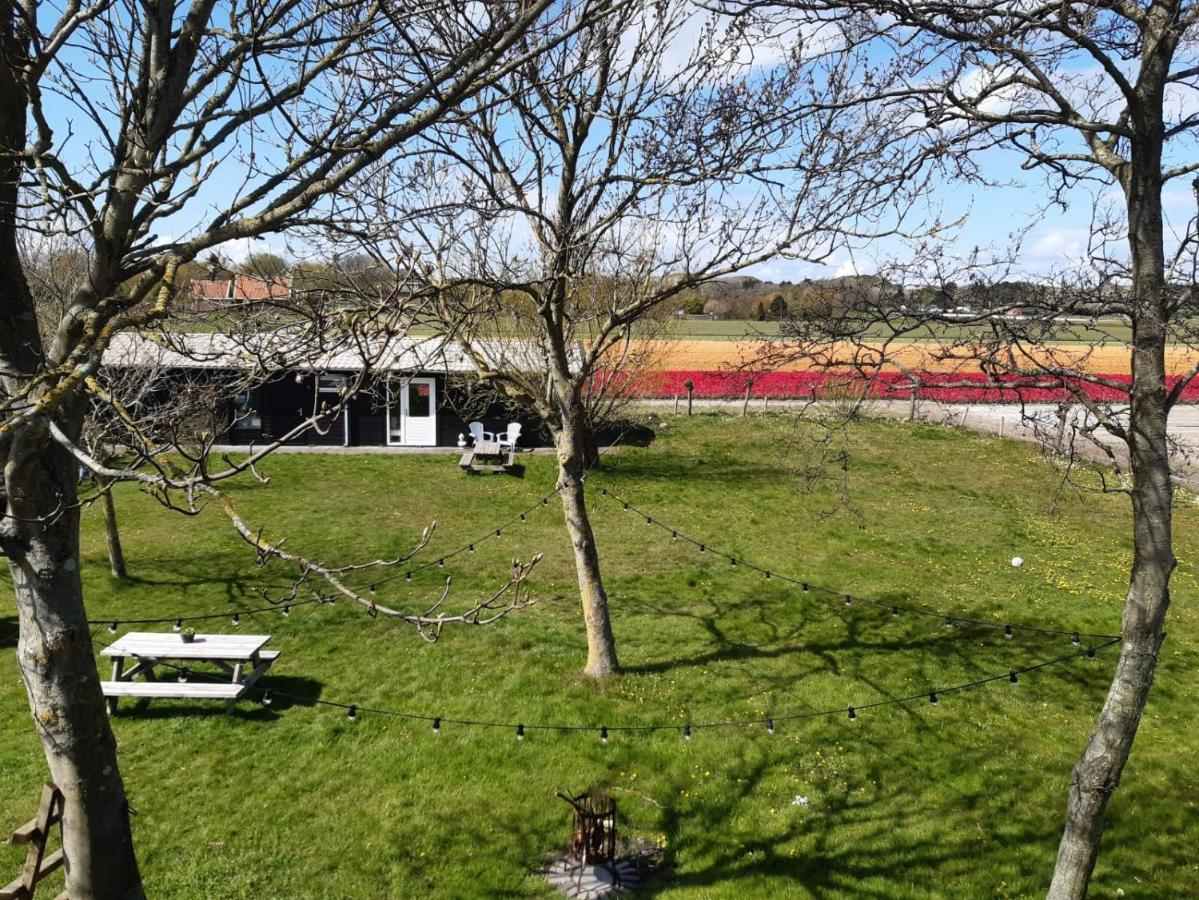 Chalet Egmond Egmond aan den Hoef Zewnętrze zdjęcie