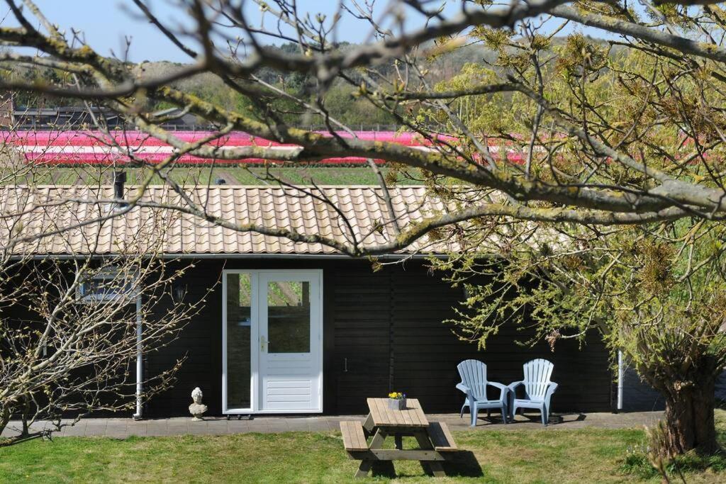 Chalet Egmond Egmond aan den Hoef Zewnętrze zdjęcie