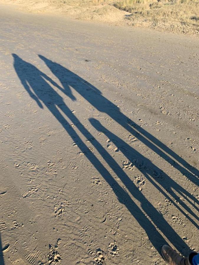 Chalet Egmond Egmond aan den Hoef Zewnętrze zdjęcie