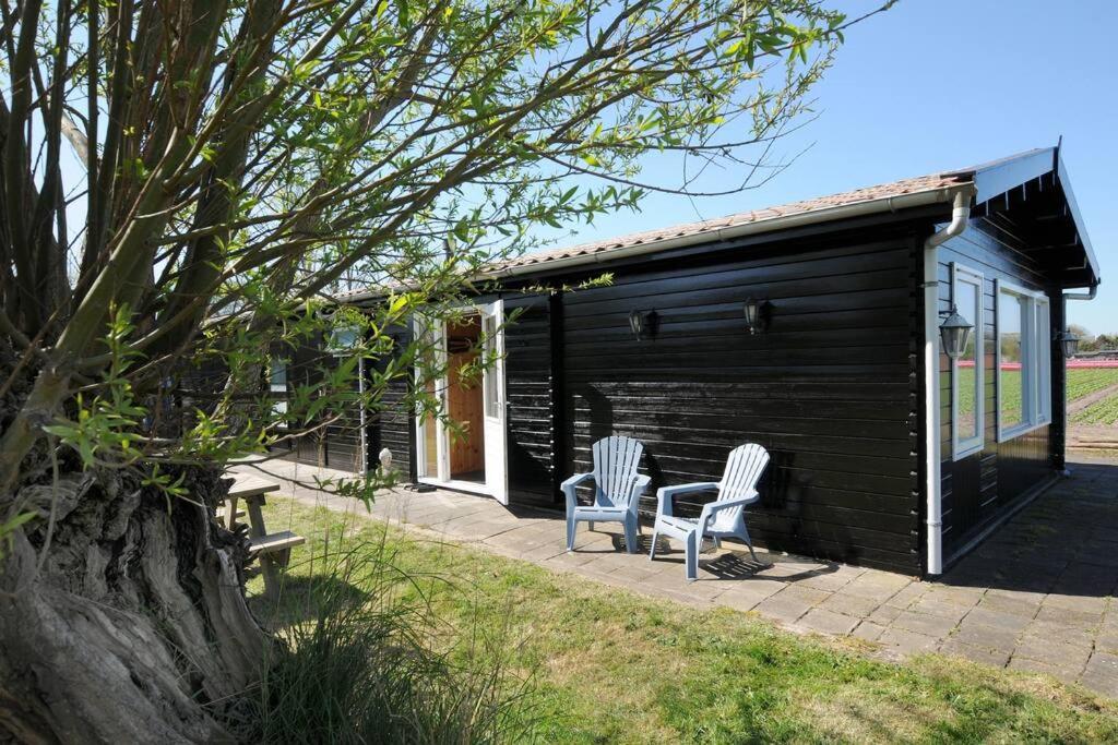Chalet Egmond Egmond aan den Hoef Zewnętrze zdjęcie